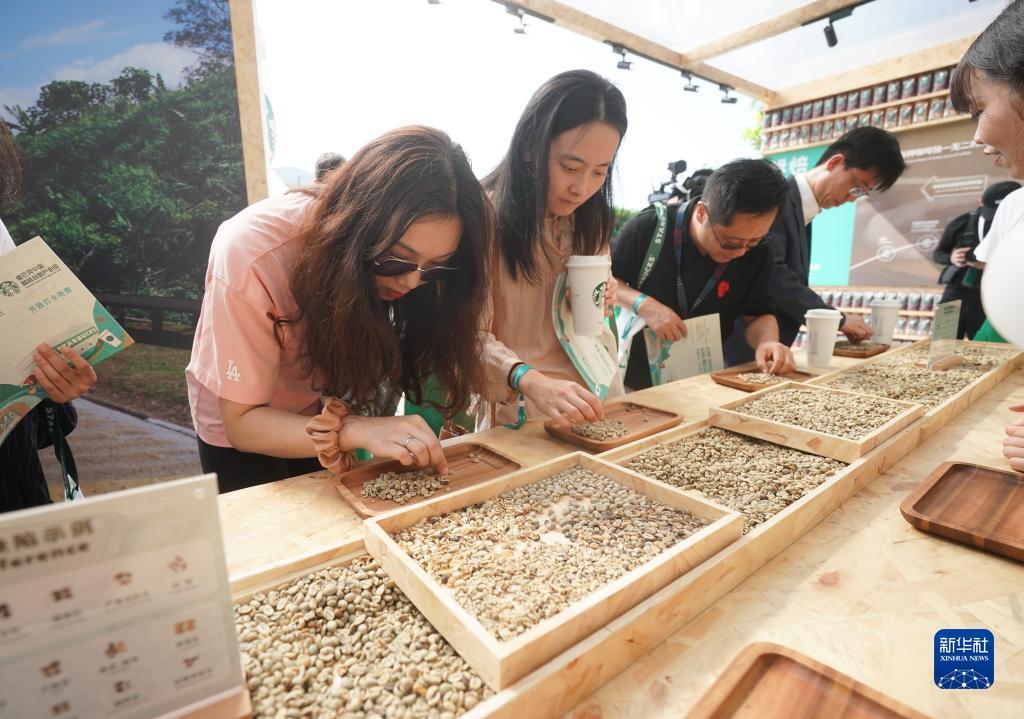 网络平台俄罗斯娱乐